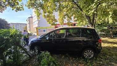 Suceava - Trei pietoni, între care doi copii, au ajuns la spital, luni dimineaţă, după ce au fost loviţi de un autoturism al cărui şofer a pierdut controlul direcţiei