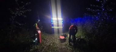 Un bărbat de 39 de ani a murit, în zona greu accesibilă a localităţii Baia Mare, după ce a fost lovit de un copac

