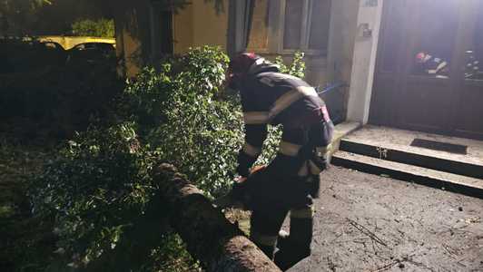 Intervenţii ale pompierilor din Bucureşti din cauza vremii – Copaci şi elemente de construcţie care stau să cadă / Crengi pe carosabil