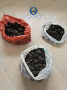 Neamţ: Trufe negre confiscate de poliţişti