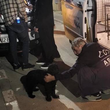Bucureşti: Bărbatul filmat când îşi loveşte câinele, urmărit penal / Anchetatorii au stabilit că animalul a fost lovit în mod repetat / Câinele, preluat de ASPA Bucureşti

