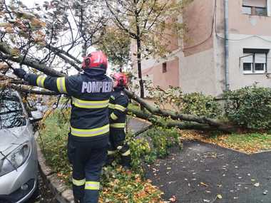 Intervenţii ale pompierilor în Satu Mare, din cauza vântului – Copaci şi acoperişuri doborâte / Lift exterior utilizat în lucrări de construcţii, în pericol de cădere la un bloc cu 10 etaje