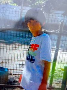 UPDATE - Copil de 11 ani din judeţul Dâmboviţa, dat dispărut. Părinţii au relatat că se aflau cu el în apropierea unei păduri, când băiatul a fugit/ Băiatul a fost găsit