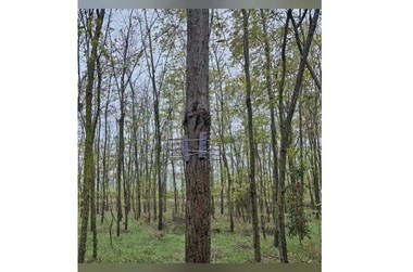 Constanţa: Un bărbat de 58 de ani este cercetat pentru rănirea intenţionată a unei pisici / În gospodăria sa poliţiştii au găsit mai multe obiecte folosite pentru rănirea animalelor - VIDEO
