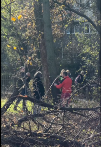 Scandal în zona retrocedată din Parcul IOR – Administratorul tăia copaci, deşi nu avea autorizaţie / Mai multe persoane i-au cerut să înceteze / Poliţişti locali prezenţi la faţa locului nu au intervenit / Dosar penal pentru neglijenţă în serviciu