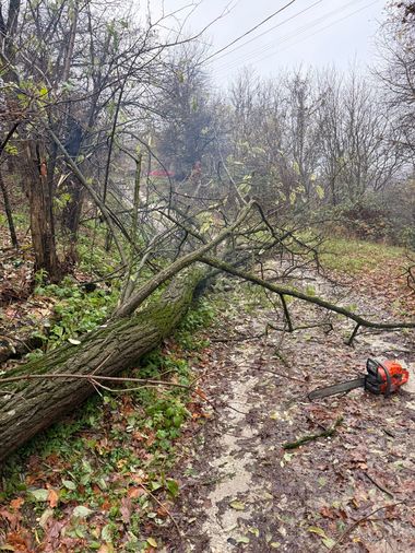 Argeş: Copaci căzuţi şi zone inundate, în urma ploilor torenţiale din ultimele ore - FOTO
