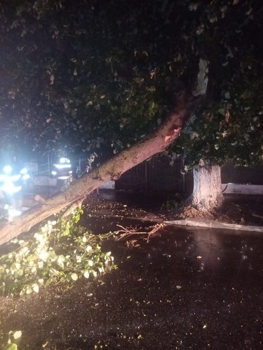 Prahova: O lucrare făcută pentru reţeaua de canalizare a oraşului Breaza s-a surpat în  urma ploii torenţiale. Gospodării au fost  inundate şi au căzut copaci în mai multe localităţi
