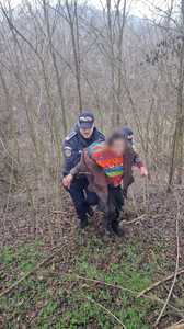 Mehedinţi: Bătrân găsit în viaţă după trei zile petrecute pe un câmp
