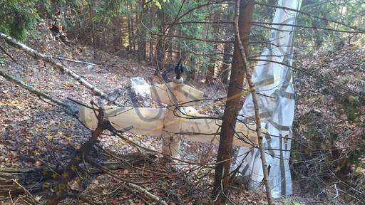 UPDATE - Dronă care are ataşată o paraşută, găsită într-o pădure din judeţul Argeş. Autorităţile fac verificări pentru a stabili cum a ajuns aparatul de zbor acolo - FOTO
