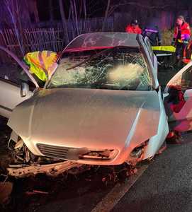 Argeş - O persoană a murit, iar alte patru au fost rănite după ce maşina în care se aflau a părăsit carosabilul - FOTO