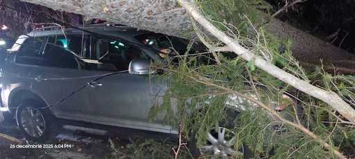 Furtună pe Valea Prahovei - La Sinaia, mai mulţi arbori au fost doborâţi de rafalele de vânt / Un copac a căzut peste o maşină cu trei persoane