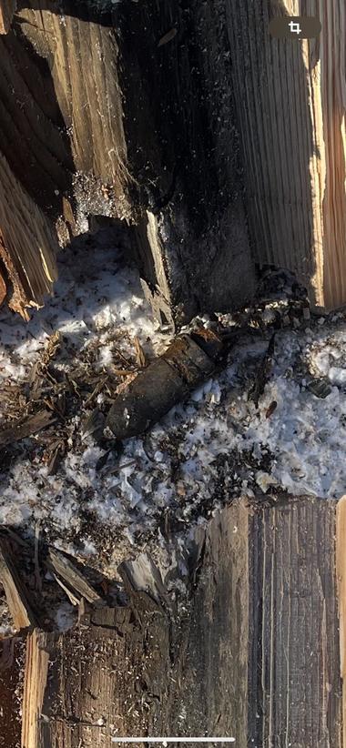 Neamţ: Proiectil din Al Doilea Război Mondial, încastrat într-o bucată de lemn / Acesta a fost descoperit de un bărbat care tăia lemne - FOTO
