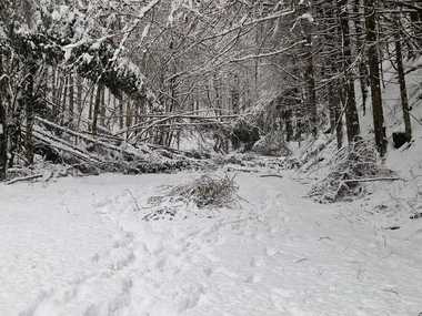 Hunedoara: Probleme privind alimentarea cu energie electrică în 5 localităţi, din cauza căderilor masive de zăpadă / Se acţionează pe drumurile din judeţ cu 30 de utilaje