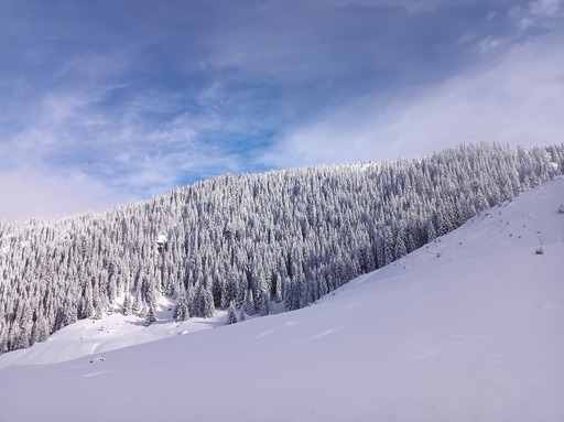 Zăpadă şi de doi metri în zona montană a judeţului Suceava / Mai multe trasee, nerecomandate / Avertismentul Salvamont