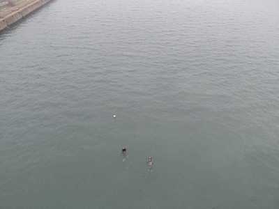 Constanţa: Căutările adolescentei care ar fi căzut de pe podul de la Agigea în Canalul Dunăre - Marea Neagră, reluate