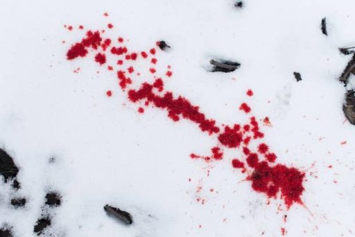 Poliţist înjunghiat în spate de un tânăr de 16 ani, în Baia Mare / Amplă operaţiune de căutare a suspectului

