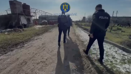 Prahova: Amenzi de 19.000 de lei pentru proprietarii unei ferme, după ce un control făcut de poliţiştii de la Protecţia Animalelor a arătat că animalele sunt ţinute în condiţii necorespunzătoare