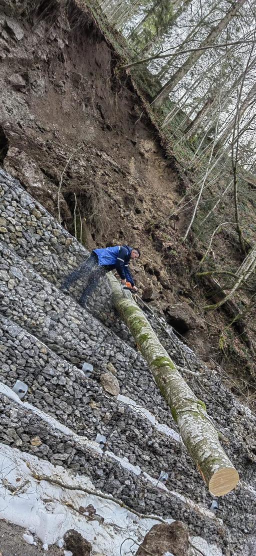 Bihor: Intervenţie a autorităţilor după ce un drum din zona staţiunii Stâna de Vale a fost blocat de căderi de pietre de pe versanţi. Un arbore de mari dimensiuni, antrenat în alunecarea terenului - FOTO