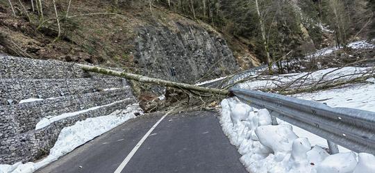 FOTO: Jandarmeria Bihor