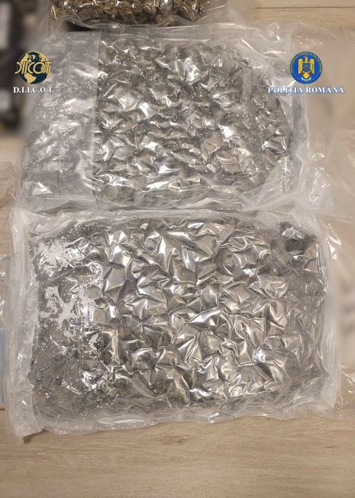 Tânăr, arestat preventiv după ce a plasat, în mai multe locuri din municipiul Iaşi, pachete conţinând canabis şi cocaină/ La adresa lui au fost găsite peste 3 kilograme de canabis