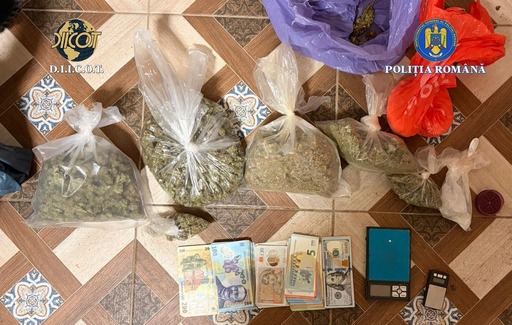UPDATE - Percheziţii în judeţul Timiş, la persoane suspectate că furnizau droguri pentru dealerii de la care s-au aprovizionat adolescenţii care au ucis un băiat de 15 ani/ Cinci suspecţi, duşi la audieri