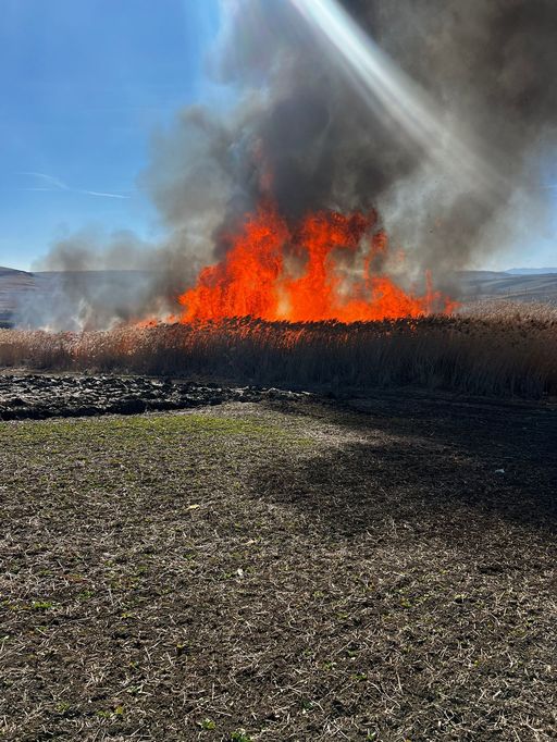 Peste 600 de incendii produse în România doar de la începutul lunii martie / Au fost afectate deja 1.500 de hectare / Avertismentul pompierilor - VIDEO

