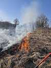 Vâlcea: Peste 50 de hectare de teren, cuprinse de incendii de vegetaţie - VIDEO
