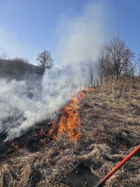 Vâlcea: Peste 50 de hectare de teren, cuprinse de incendii de vegetaţie - VIDEO
