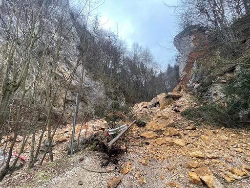 Alunecare de teren într-o  zonă frecventată de turişti, în municipiul Braşov / Autorităţile anunţă că există risc ca arbori să se prăbuşească - FOTO