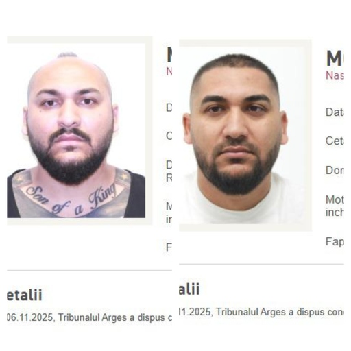 Fraţii Dani şi Ionuţ Mocanu, condamnaţi la închisoare pentru tentativă de omor şi prinşi în Italia, aduşi în ţară