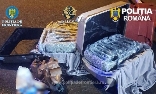 Aproximativ 31 kilograme de canabis descoperite de poliţiştii de frontieră la Nădlac, în judeţul Arad/ Drogurile au fost introduse în ţară de un italian care a fost arestat preventiv