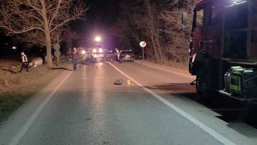 Accidentul din judeţul Neamţ, în care patru persoane au murit şi trei au fost rănite, provocat de un şofer care a depăşit în curbă şi a intrat pe contrasens, lovind frontal alt vehicul / După impact, autoturismul a lovit un copac şi a luat foc

