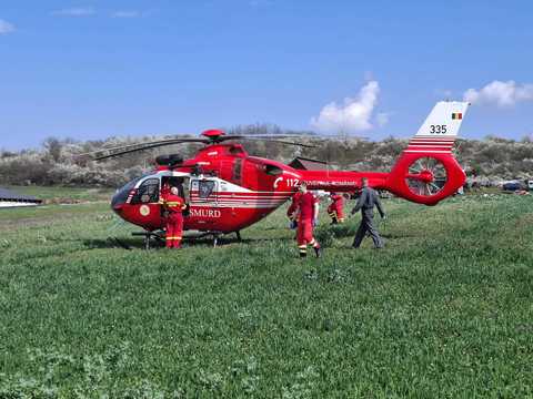 Alba: Bărbat în stare gravă, după ce un pom a căzut peste el şi l-a strivit - VIDEO 
