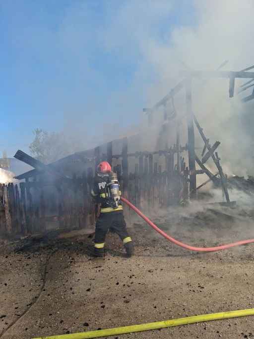 Bihor: Incendiu la un saivan în care se aflau 15 iezi. Animalele nu au putut fi salvate
