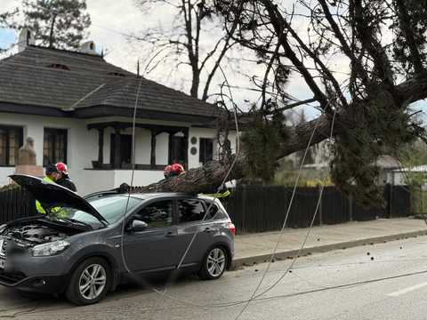 Intervenţie a pompierilor în Botoşani, după ce un copac şi doi stâlpi de electricitate au căzut peste o maşină şi au blocat o stradă/ Meteorologii au emis cod portocaliu de vânt pentru o parte a judeţului, până la ora 18.00 - VIDEO, FOTO