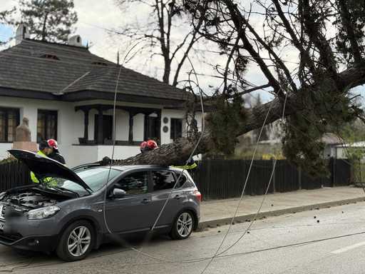 Intervenţie a pompierilor în Botoşani, după ce un copac şi doi stâlpi de electricitate au căzut peste o maşină şi au blocat o stradă/ Meteorologii au emis cod portocaliu de vânt pentru o parte a judeţului, până la ora 18.00 - VIDEO, FOTO