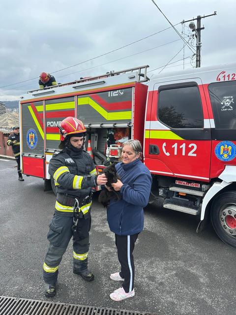Iaşi - Pisică rămasă blocată la 12 metri înălţime, într-un brad, salvată de pompieri - FOTO, VIDEO