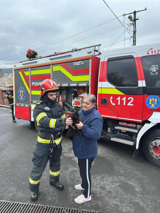 Iaşi - Pisică rămasă blocată la 12 metri înălţime, într-un brad, salvată de pompieri - FOTO, VIDEO