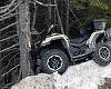 Gorj: Doi răniţi, după ce ATV-ul pe care se aflau a ieşit de pe drum şi s-a izbit violent de un copac/ Una dintre victime, în stare critică