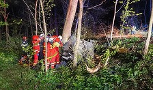 Ilfov - Doi tineri de 20 de ani au murit după ce autoturismul în care se aflau s-a lovit de un arbore şi s-a răsturnat - FOTO