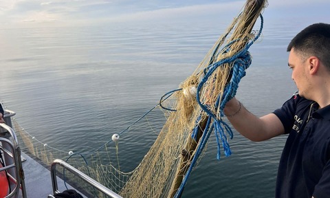 Poliţiştii de frontieră au salvat cinci sturioni prinşi în plase ilegale, în Marea Neagră