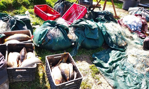 Poliţiştii de frontieră au făcut 45 de percheziţii în trei judeţe pentru combaterea braconajului piscicol / Au fost găsite peste 400 de kilograme de peşte, 70 de plase monofilament, motoare de bărci / Valoarea totală a bunurilor – un milion de lei 