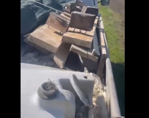 Ilfov: Amenzi de 60.000 de lei pentru depozitare ilegală deşeurilor provenite din construcţii. Unul dintre cei sancţionaţi, prins aruncând gunoi în pădurea din zona Corbeanca - VIDEO