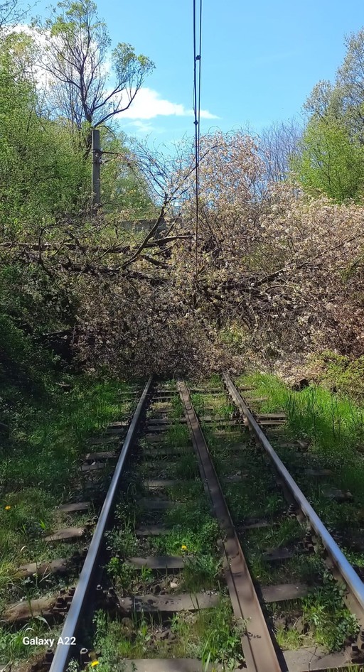 UPDATE - Trafic feroviar oprit temporar între staţiile Merişor şi Crivadia şi Topliţa - Răstoliţa, în judeţul Timiş, din cauza copacilor căzuţi pe linia ferată / Circulaţia a fost reluată pe raza Regionalei Timişoara
