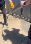 Tulcea: Jandarmii au scos un şarpe din compartimentul motor al unui autoturism, unde se ascunsese în zona grilei de aerisire / El a fost eliberat apoi în mediul natural - VIDEO
