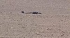 UPDATE - Suceava - Dronă căzută pe un teren agricol, la 20 de km de graniţa cu Ucraina/ Drona nu are încărcătură explozibilă - FOTO, VIDEO