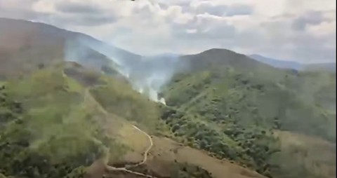 Două incendii de pădure, în judeţul Caraş-Severin/ Unul dintre ele, în localitatea Ilova, arde de trei zile. Al doilea a fost anunţat duminică după-amiază - VIDEO