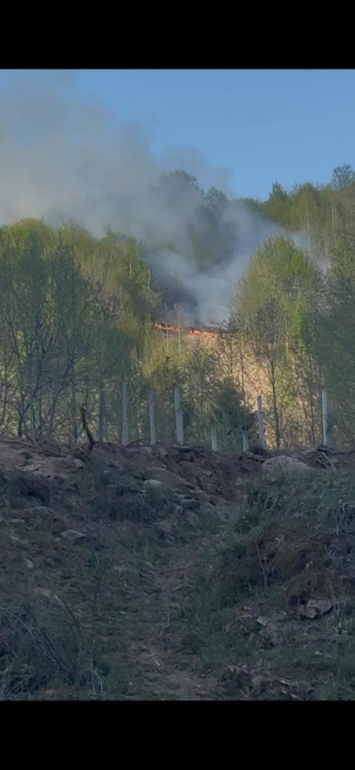 Incendiu de pădure pe Valea Anieşului, în Bistriţa-Năsăud/ Focul a pornit, cel mai probabil, de la o ţigară aruncată aprinsă