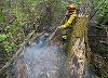 Bihor: Incendiul de la groapa de gunoi din Oradea a fost stins/ În schimb, pompierii continuă operaţiunea în cazul focarelor din zona împădurită dintre Şuncuiuş şi Vadu Crişului - VIDEO, FOTO