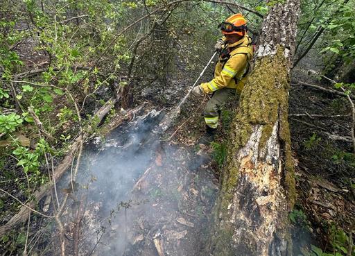 Bihor: Incendiul de la groapa de gunoi din Oradea a fost stins/ În schimb, pompierii continuă operaţiunea în cazul focarelor din zona împădurită dintre Şuncuiuş şi Vadu Crişului - VIDEO, FOTO